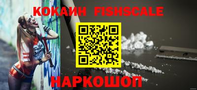 гашик Кулебаки