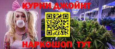 гашик Кулебаки