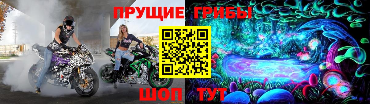 где купить наркоту  Галлюциногенные грибы мицелий  Вход с VPN  Гусев 